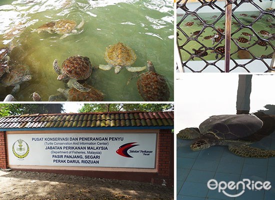 海龟保育中心,Segari Turtle Sanctuary 