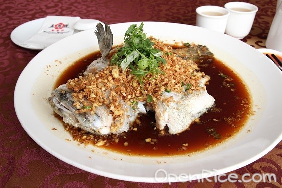 Mayflower Restaurant, Chinese cuisine, Chinese restaurant, Kota Kemuning, Steamed Fish of the Day with Preserved Daikon and Ginger, 菜圃生薑蒸時魚