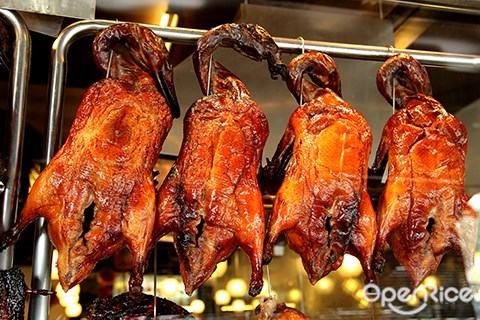 kuchai lama, yummy duck, roasted duck