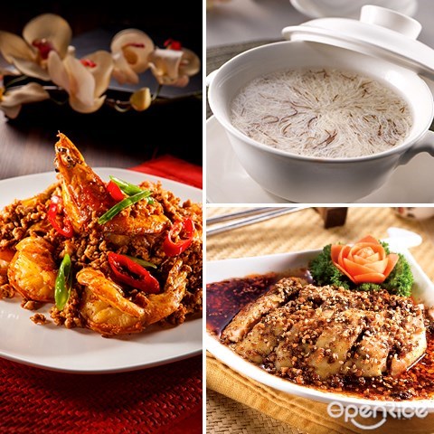 口水鸡, 笼的传人, 北京烤鸭, 四川美食节, 舌尖上的四川
