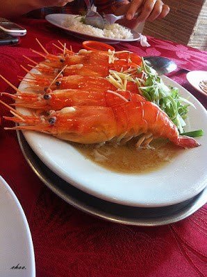 Choooo給新美芳冷氣海鮮樓的食評 Openrice 馬來西亞開飯喇 Choooo給新美芳冷氣海鮮樓的食評 Openrice 馬來西亞開飯喇
